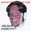 Something in the Way Albumcover