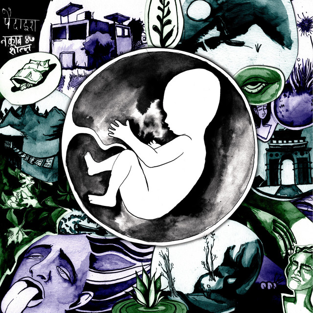 Shoals Naqaab47 Paidaish