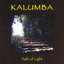 Path Of Light Albumcover