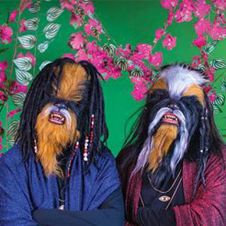 The Wookies Photo