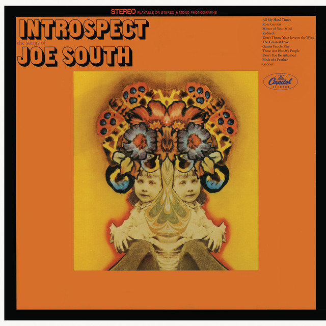 Introspect cover