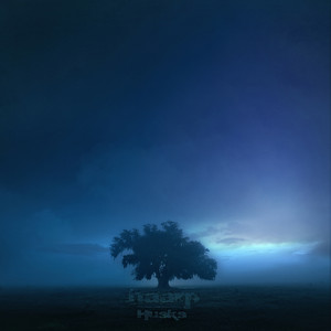 Husks cover