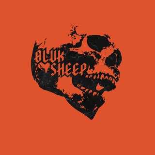 SHEEP Photo