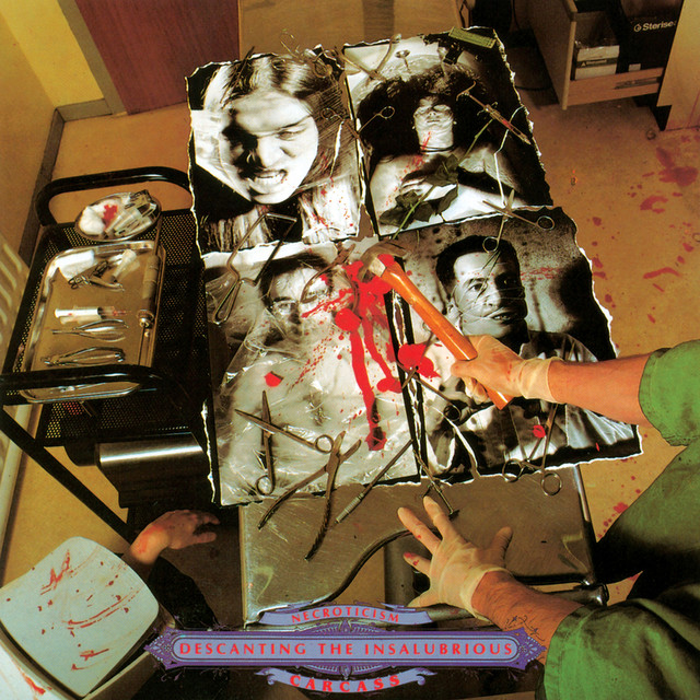 Necroticism - Descanting The Insalubrious cover