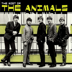 Most Of The Animals cover