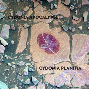 Cydonia cover