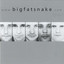 www.bigfatsnake.com cover