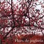Flors De Joglaria Albumcover