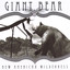 New American Wilderness Albumcover