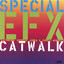 Catwalk cover