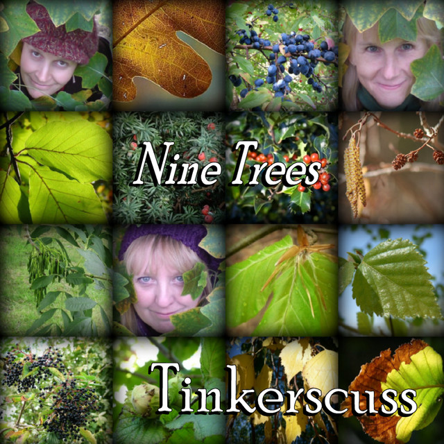 Tinkerscuss Photo