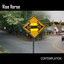 Contemplation Albumcover