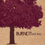 Oak Tree Albumcover
