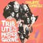 Tribute to The Mother of Groove Albumcover