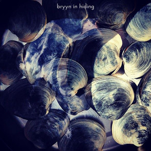 In Hiding cover