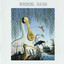Introducing... Talk Talk cover