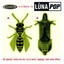 A Tribute To Luna POP Albumcover