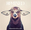 REMIXED cover