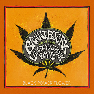 Black Power Flower album
