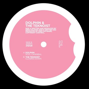 Dolphin & The Teknoist