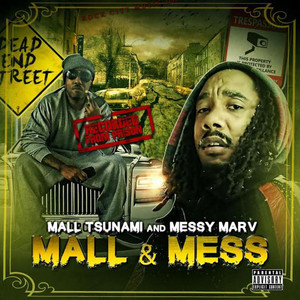 Mall & Mess album