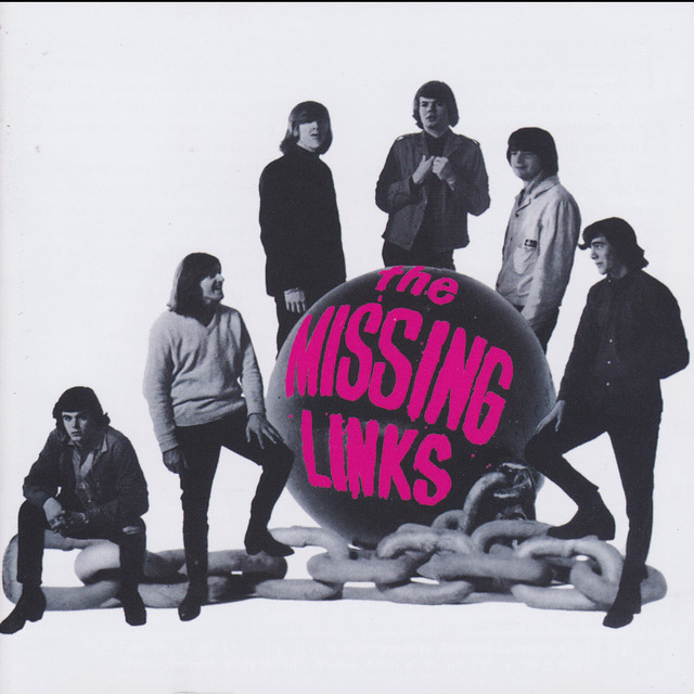 Missing Links Photo
