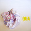 Qua cover