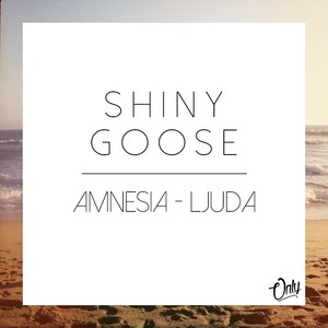 Shiny Goose