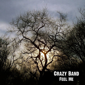 Crazy Band