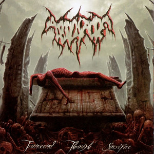Transcend Through Sacrifice cover