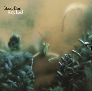 Katy Lied album