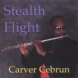 Stealth Flight Albumcover