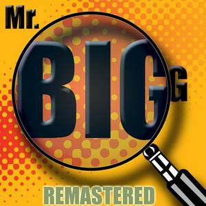 Mr. Big album