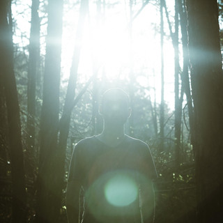 Feverkin Photo