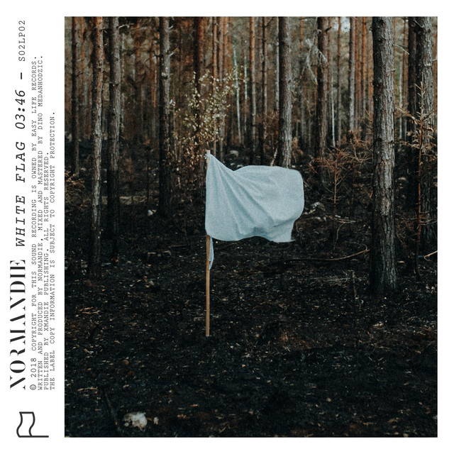 White Flag cover