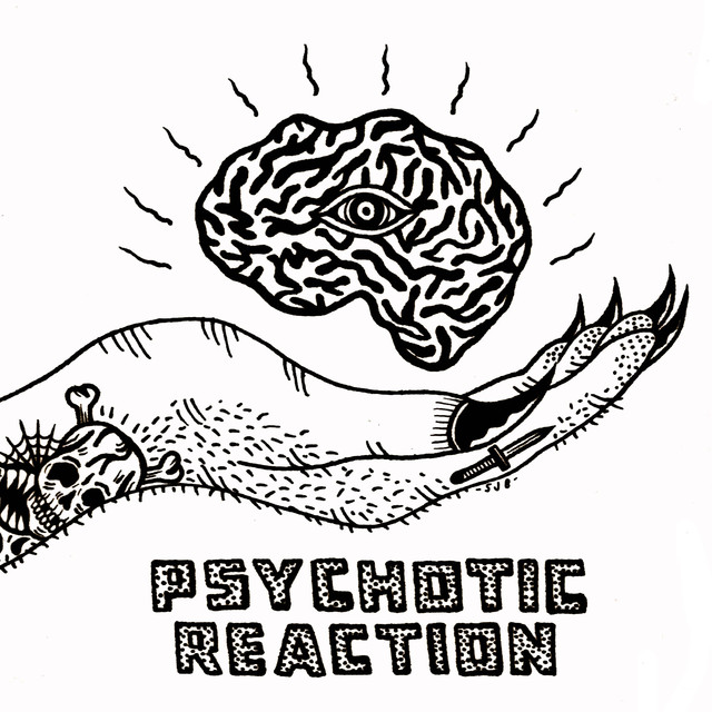 Psychotic Reaction photo