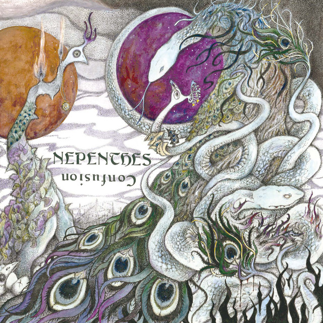 Nepenthes Photo