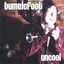 Uncool cover