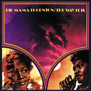 The Way It Is album
