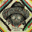 Dear Echo cover