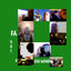 Far Out Albumcover