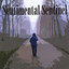 Sentimental Sentinel Albumcover
