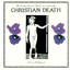 The Decomposition of Violets cover