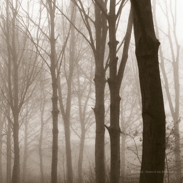 Scars Of The Midwest cover