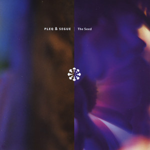 The Seed cover