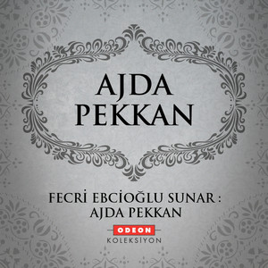 Fecri Ebcioğlu Sunar: Ajda Pekkan cover