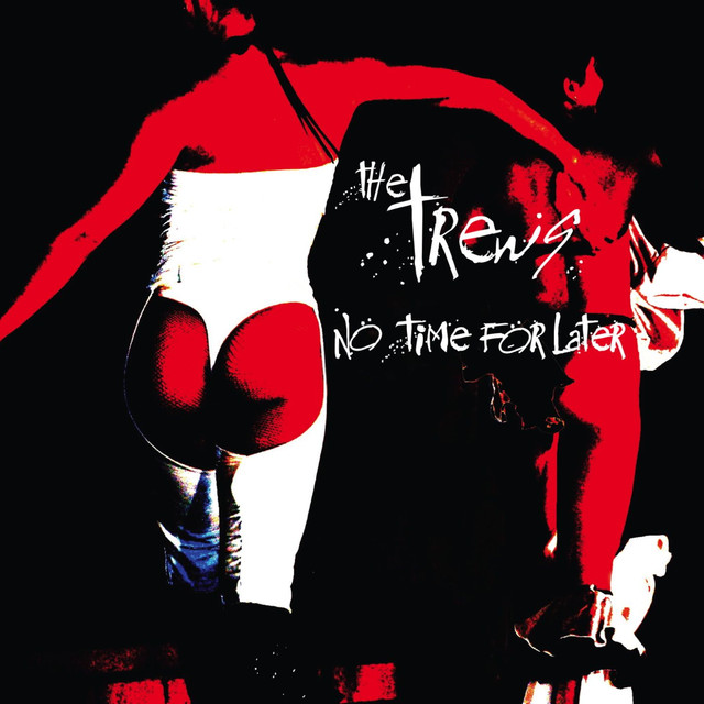 No Time For Later cover