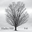 Fall Albumcover