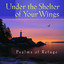 Under the Shelter of Your Wings Psalms of Refuge cover