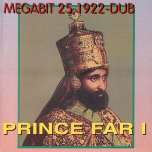 Megabit 25, 1992-Dub album